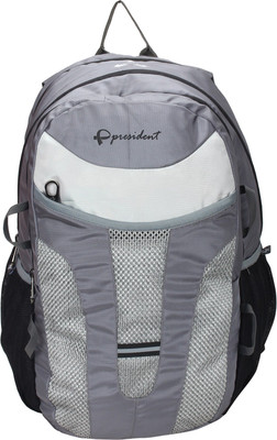 

President CURVE GREY 33 L Backpack(Grey)