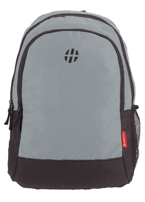 

Harissons Y Not 31 L Backpack(Grey), Lt grey