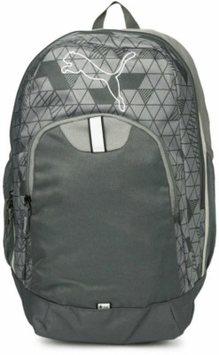 Puma Printing Scooter Graphic Unisex 25 L Backpack(Grey)