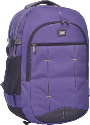 

Aerollit Altmont 25 L Backpack(Purple)