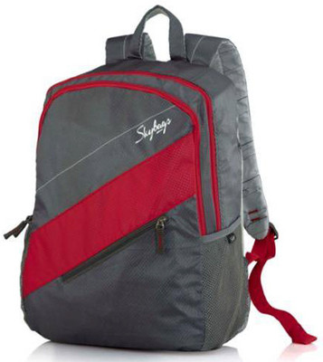 

Skybags Neon 03 29 L Medium Backpack(Grey)