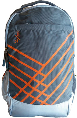 

Skybags Boost 01 Blue 25 L Backpack(Grey), Multicolor