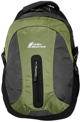 

Camel Mountain 1975 40 L Backpack(Green)