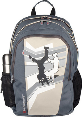 

Harissons Street Dancer 37 L Free Size Backpack(Grey)