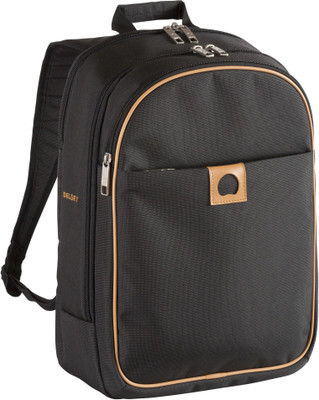 

Delsey Montholon 18 L Laptop Backpack(Grey), Anthracite
