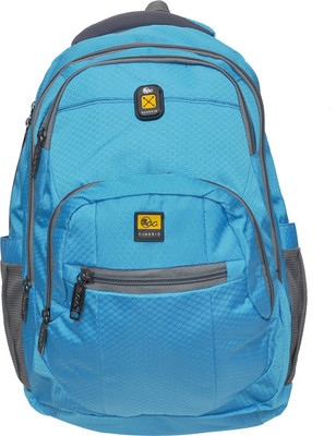 

Hawai Smart Bluish 16 L Backpack(Blue)