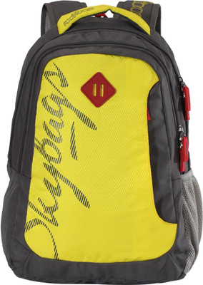 

Skybags Footlose Leo 01 Yellow 26 L Backpack(Green, Grey), Multicolor