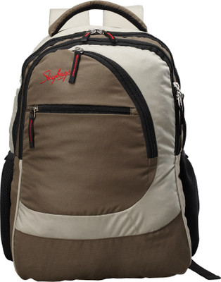 

Skybags Backpack(Green)