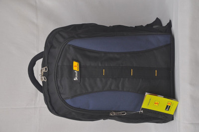 

Skyline 802 20 L Laptop Backpack(Black)