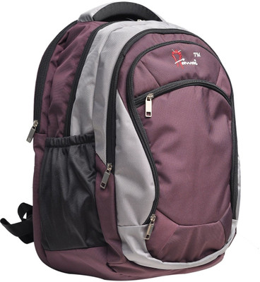 

Hawai Comfy Multispace Medium Laptop Backpack(Purple, Grey), Brown-01