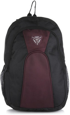 President Casmo 25 L Medium Backpack(Purple)
