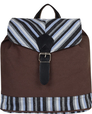 

Anekaant Streak 11 L Backpack(Brown)