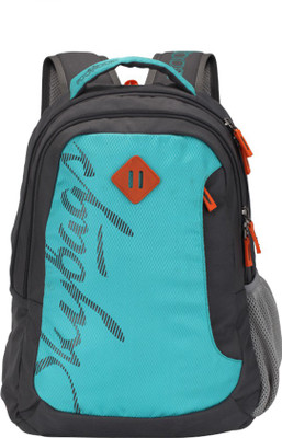 

Skybags Footlose Leo 01 Blue 26 L Backpack(Blue, Grey), Multicolor