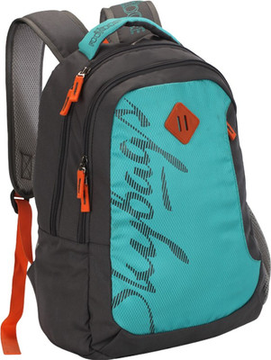 

Skybags Footloose 26 L Backpack(Blue)
