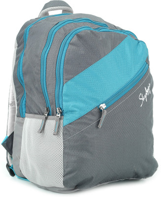 

Skybags Neon-03 Backpack(Blue, Grey)