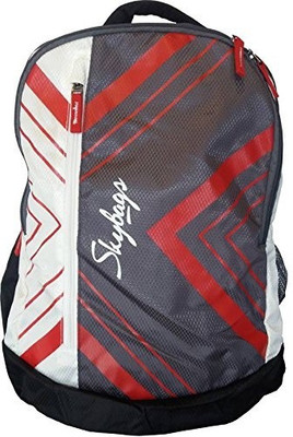 

Skybags Pogo Extra 01 Grey 25 L Backpack(Multicolor)