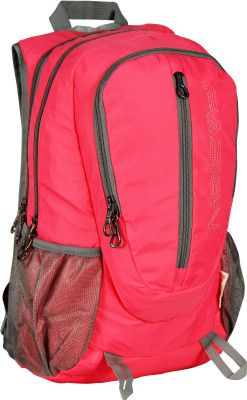 

Fabion 1375 Pink 23 L Backpack(Pink)