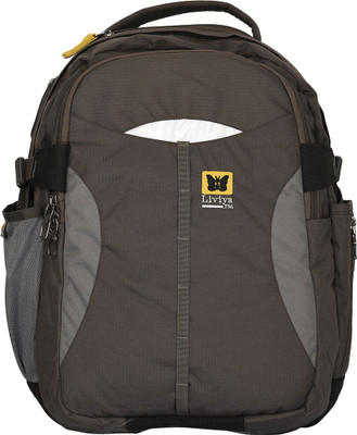 

Liviya Sb970lv 30 L Backpack(Brown)
