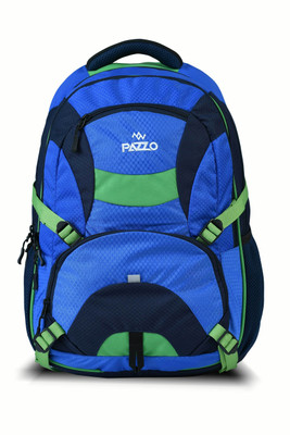 

Pazzo Neptune 25 L Backpack(Blue, Green)
