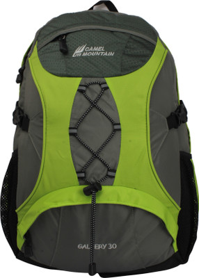 

Camel Mountain 1914 30 L Backpack(Green)