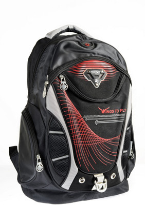 Eurostyle Sports Series 4.80 L Free Size Backpack(Red, Black), 10004