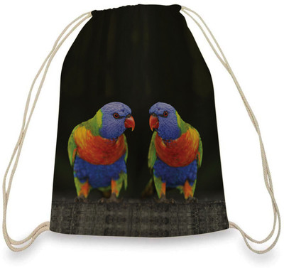 

ColorPlus Db017 1 L Large Backpack(Multicolor)