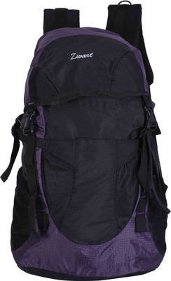 

Zwart CLINROV 32 L Medium Backpack(Black, Purple)