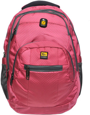 

Hawai Ample Roomy 16 L Backpack(Pink)