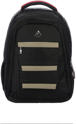Dezire fashion biawong school 25 L Backpack(Multicolor)