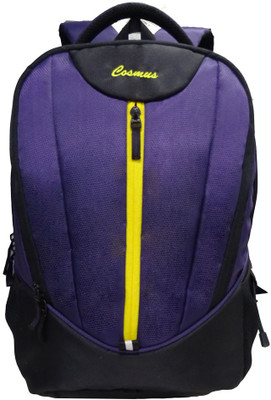 Cosmus Dzire Purple 36 L Large Backpack(Purple)