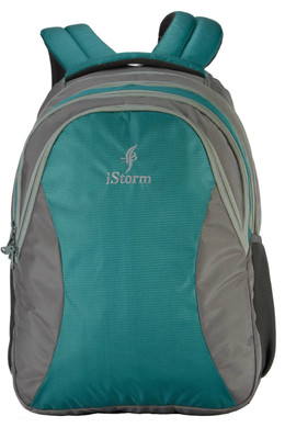 

Istorm Parrot 20 L Backpack(Grey, Green), Multicolor
