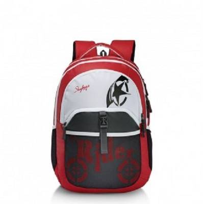 SKYBAGS RAIDER 3.5 L Laptop Backpack Price History