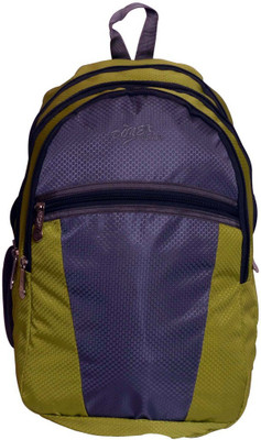 

Donex 5812 25 L Laptop Backpack(Multicolor), Green;grey