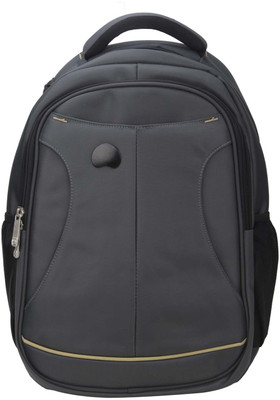 

Delsey Selection Lyon 21 L Laptop Backpack(Grey)