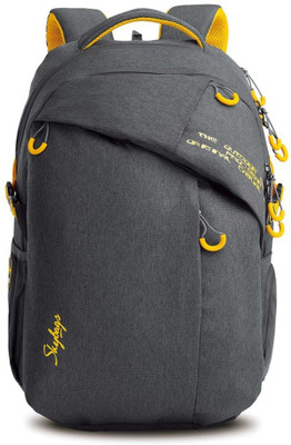 

Skybags ION 02 Grey 36 L Backpack(Grey)