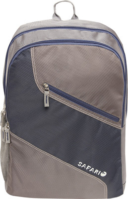 

Safari swing 25.0 L Backpack(Grey)