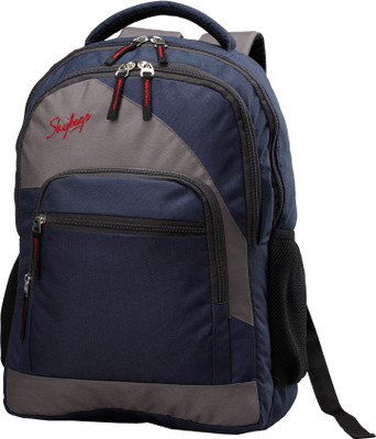 

Skybags Backpack(Blue)