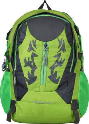 

Pandora Full Size School Bag 30 L Backpack(Grey, Green), Green;grey