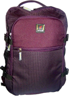 

Skyfashion Wanderer 45 L Laptop Backpack(Purple)