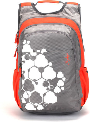 

Skybags Footlose Biltz 01 Grey 27 L Backpack(Multicolor)