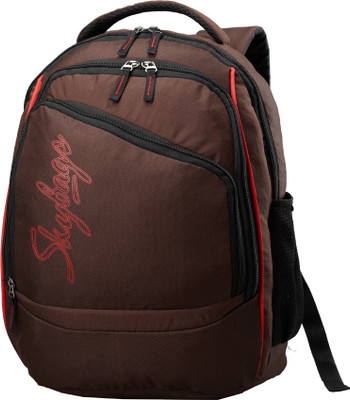 

Skybags Backpack(Brown)
