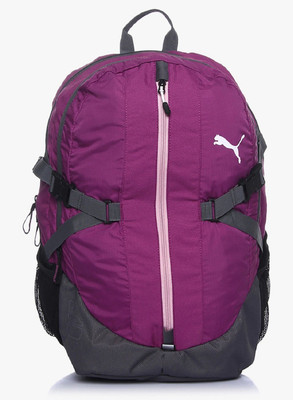 

Puma Apex Unisex 21 L Backpack(Multicolor), Purple