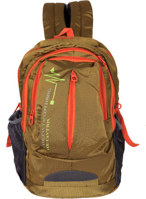 

Pandora Premier Quality School Bag 35 L Backpack(Gold), Golden