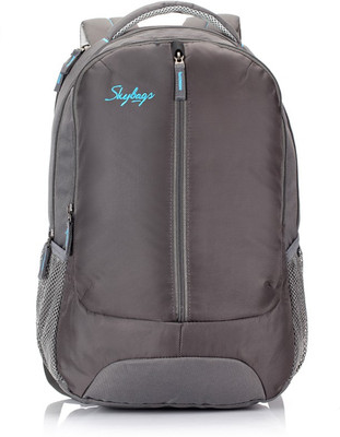 Skybags Flux 02 Grey 25 L Backpack(Grey)
