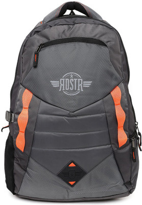 

Roadster Premium 2.2 L Laptop Backpack(Grey)