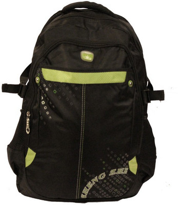 

Shengzhe Sky One 18 L Laptop Backpack(Green)