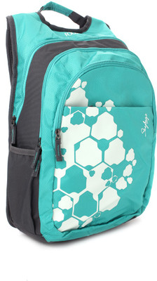 

Skybags Backpack(Grey, Blue)