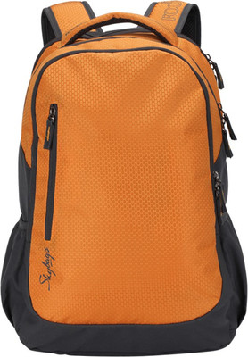 

Skybags Footlose Biltz 03 Grey 27 L Backpack(Multicolor)