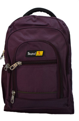 

Skyline 1011 18.90 L Backpack(Purple)