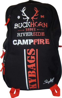 

Skybags Strider 02 Black 25 L Laptop Backpack(Multicolor)